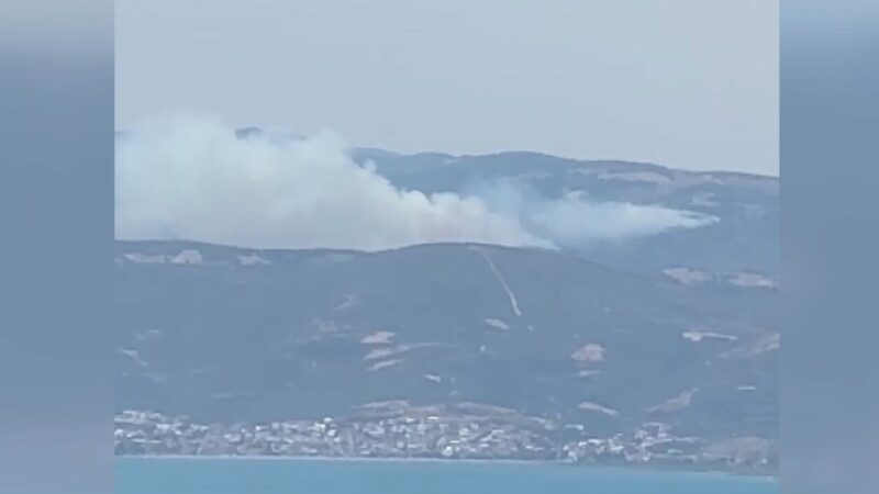 Bursa’da orman yangını Bursa'nın İznik ilçesinde ormanlık alanda yangın çıktı.