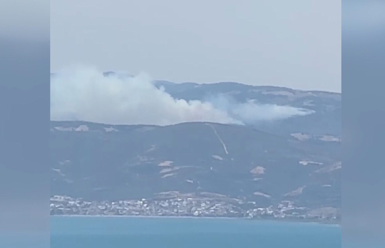 Bursa’da orman yangını