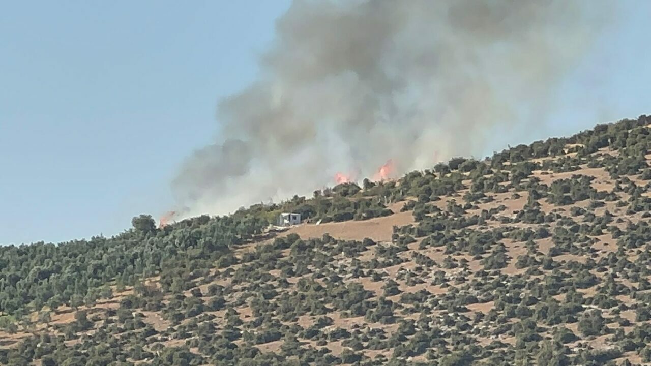 Bursa’da makilik alanda yangın