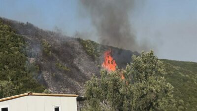 Bursa’da orman yangını soruşturmasında 1 gözaltı