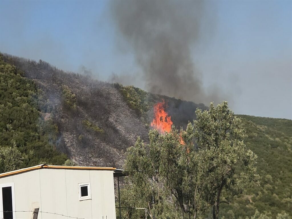 Bursa’da orman yangını soruşturmasında 1 gözaltı