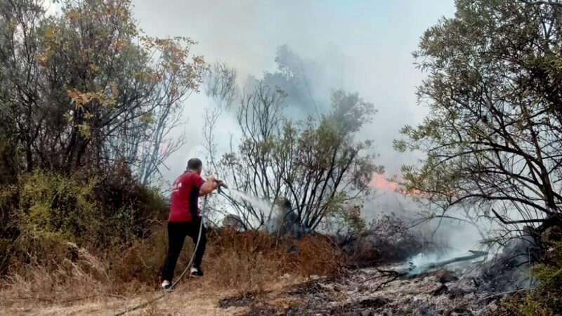 Bursa'nın Mudanya ilçesinde zeytinlikte çıkan yangın söndürüldü.