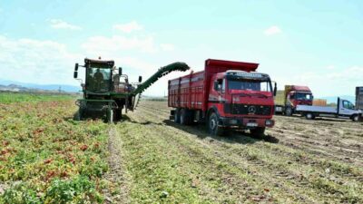 Bursa’nın ‘domates deposu’nda yoğun mesai