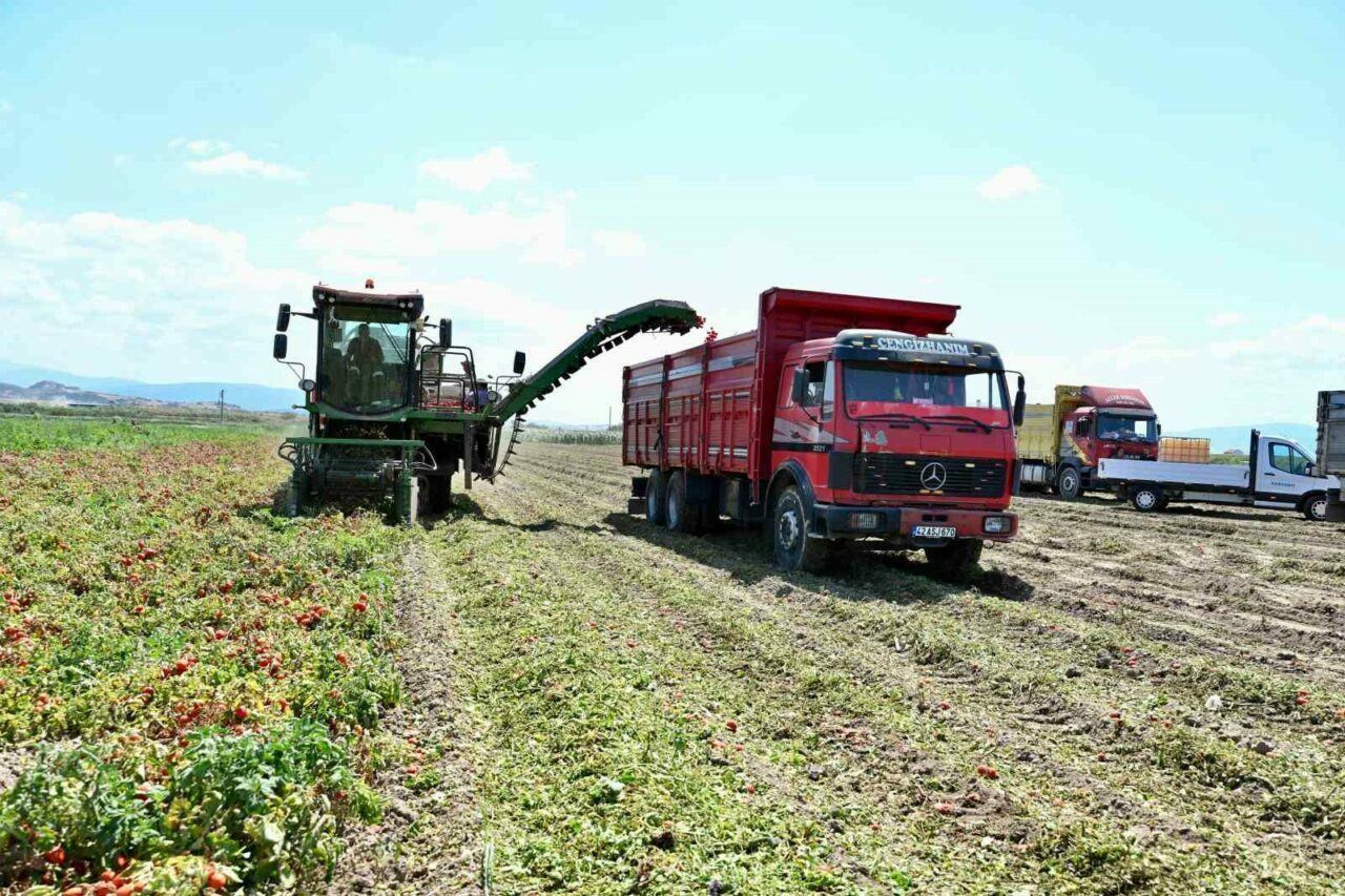 Bursa’nın ‘domates deposu’nda yoğun mesai Bursa’nın ‘domates deposu’nda yoğun mesai