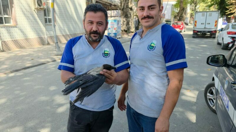 Bursa'nın İnegöl ilçesinde bacağına dolanan ip nedeniyle ağaçta mahsur kalan