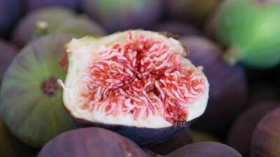 Bursa’nın tescilli markasında hasat ve ihracat başladı