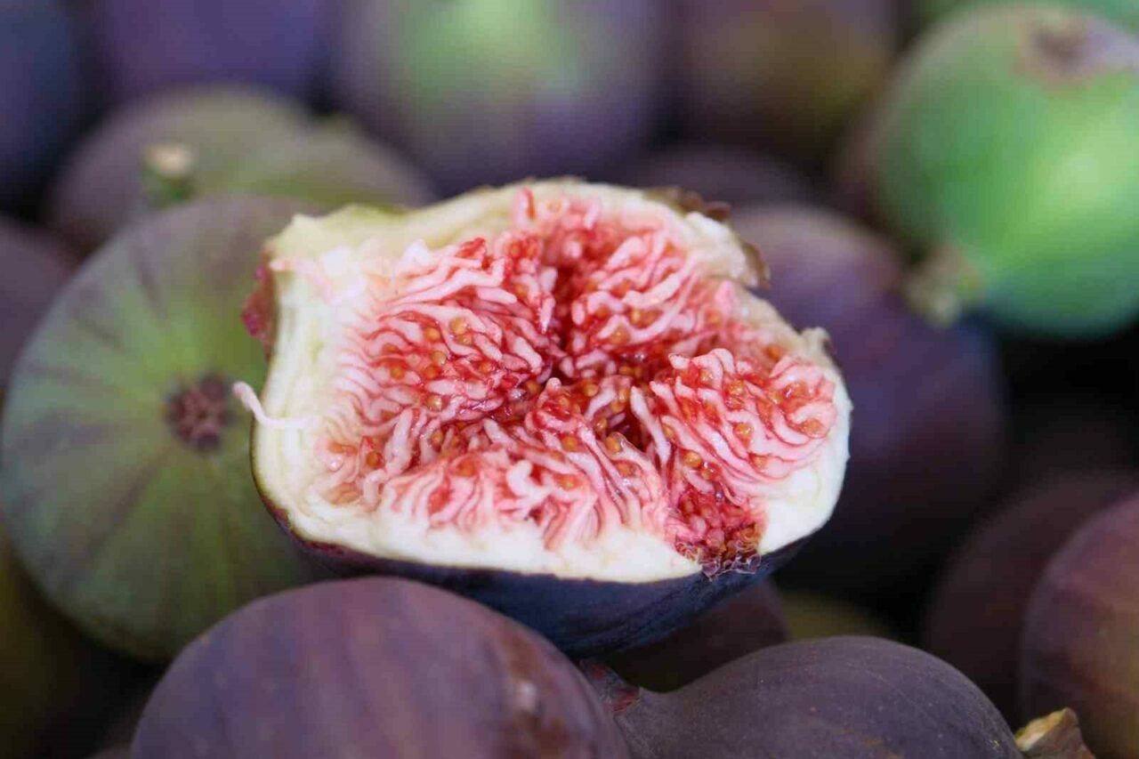 Bursa’nın tescilli markasında hasat ve ihracat başladı