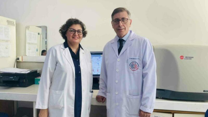 Bursa Uludağ Üniversitesi (BUÜ) akademisyenlerinin aralarında bulunduğu uluslararası bir araştırma