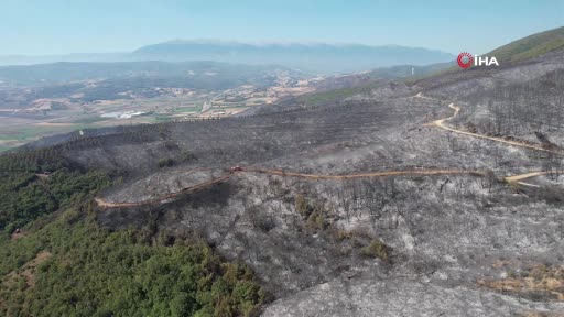 Bursa’nın ciğerleri yeşilden griye döndü
