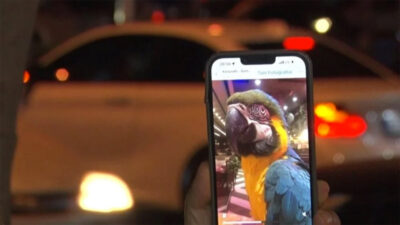 Turgut Özal’ın papağanı Cabbar yine çalındı