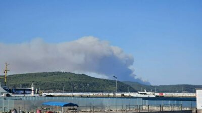 Çanakkale Gelibolu’da orman yangını
