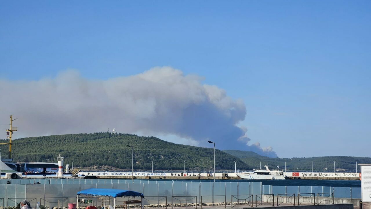 Çanakkale Gelibolu’da orman yangını Çanakkale Gelibolu’da orman yangını