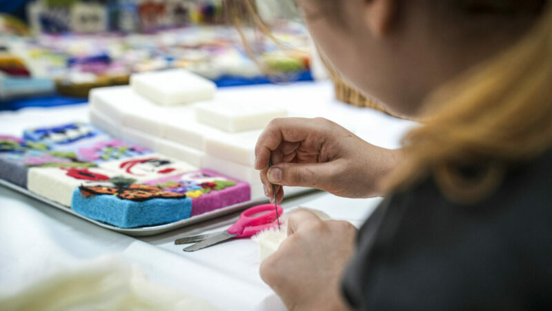 Aile ve Sosyal Hizmetler Bakanlığına bağlı Çocuk Evleri Sitesinde yürütülen