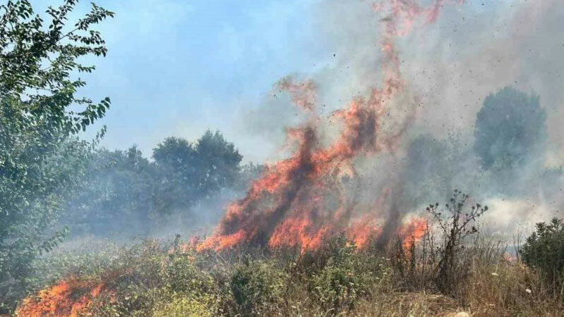 Bursa'nın İnegöl ilçesinde otluk alanda çıkan yangın söndürüldü.