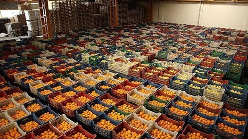 Sebzede oyun oynayana 1 milyon lira ceza! Sebzede oyun oynayana 1 milyon lira ceza!