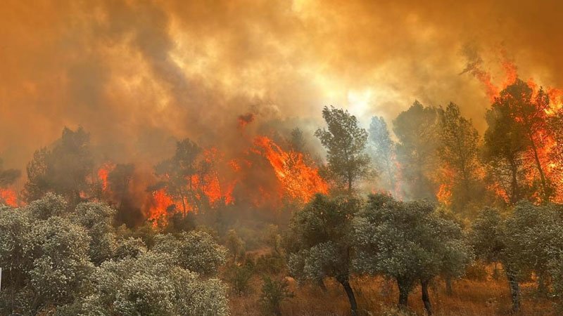 Bir kıvılcım binlerce canı yok edebilir! Vatandaşa büyük görev düşüyor…