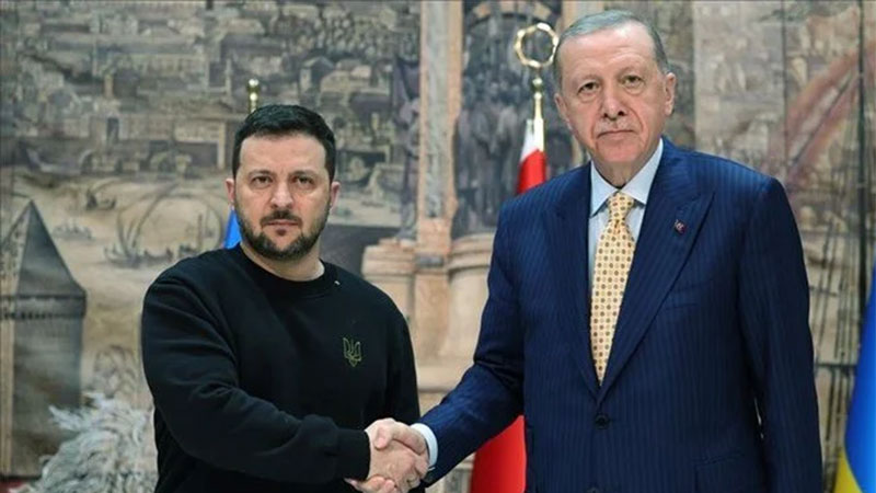 Cumhurbaşkanı Erdoğan, Zelenski ile görüştü