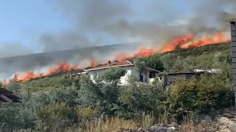Bursa'nın Orhangazi ilçesinde makilik yangını, ormana sıçradı. Yangın, 1 saatlik