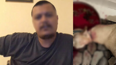 Bursa’da skandal görüntüler! Evinde hayvanları kesip yayınladı…
