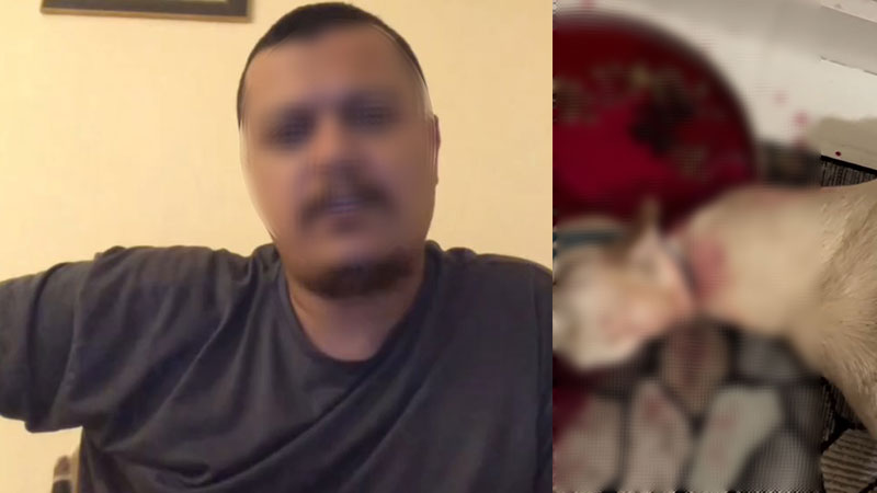 Bursa’da skandal görüntüler! Evinde hayvanları kesip yayınladı…