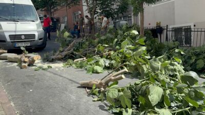 İstanbul’u fırtına vurdu! Ağaçlar devrildi, 2 yaralı