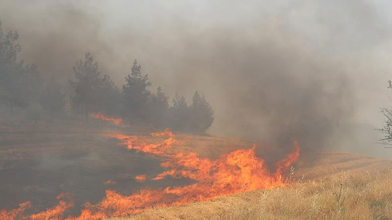 Bursa’da yürekleri ağza getiren yangın