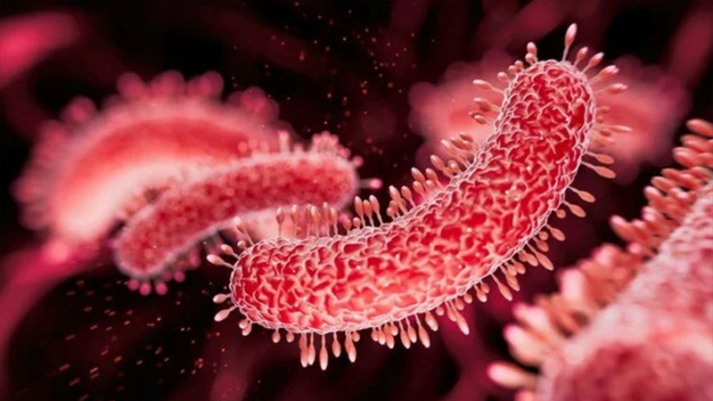 Türkiye’de et yiyen bakteri vakası görüldü mü? Bakanlıktan açıklama Türkiye’de et yiyen bakteri vakası görüldü mü? Bakanlıktan açıklama