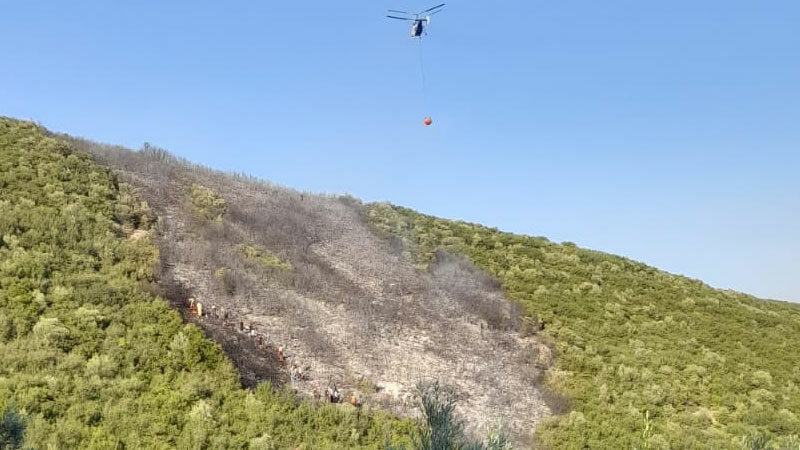Bursa Büyükşehir Belediyesi, Orhangazi'nin Gedelek Mahallesi'nde çıkan orman yangınıyla ilgili