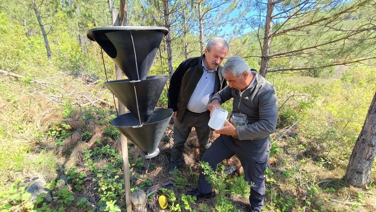 Bursa ormanlarında yeni uygulama Bursa ormanlarında yeni uygulama