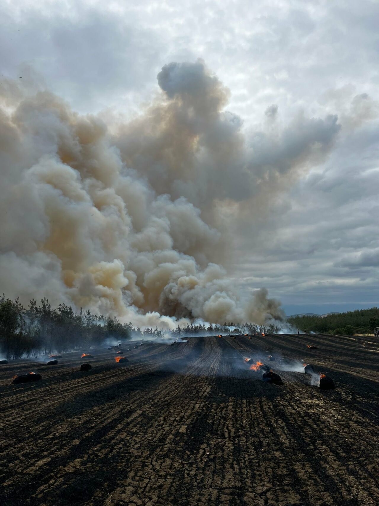 Bursa Büyükşehir’den yangınla ilgili ilk açıklama