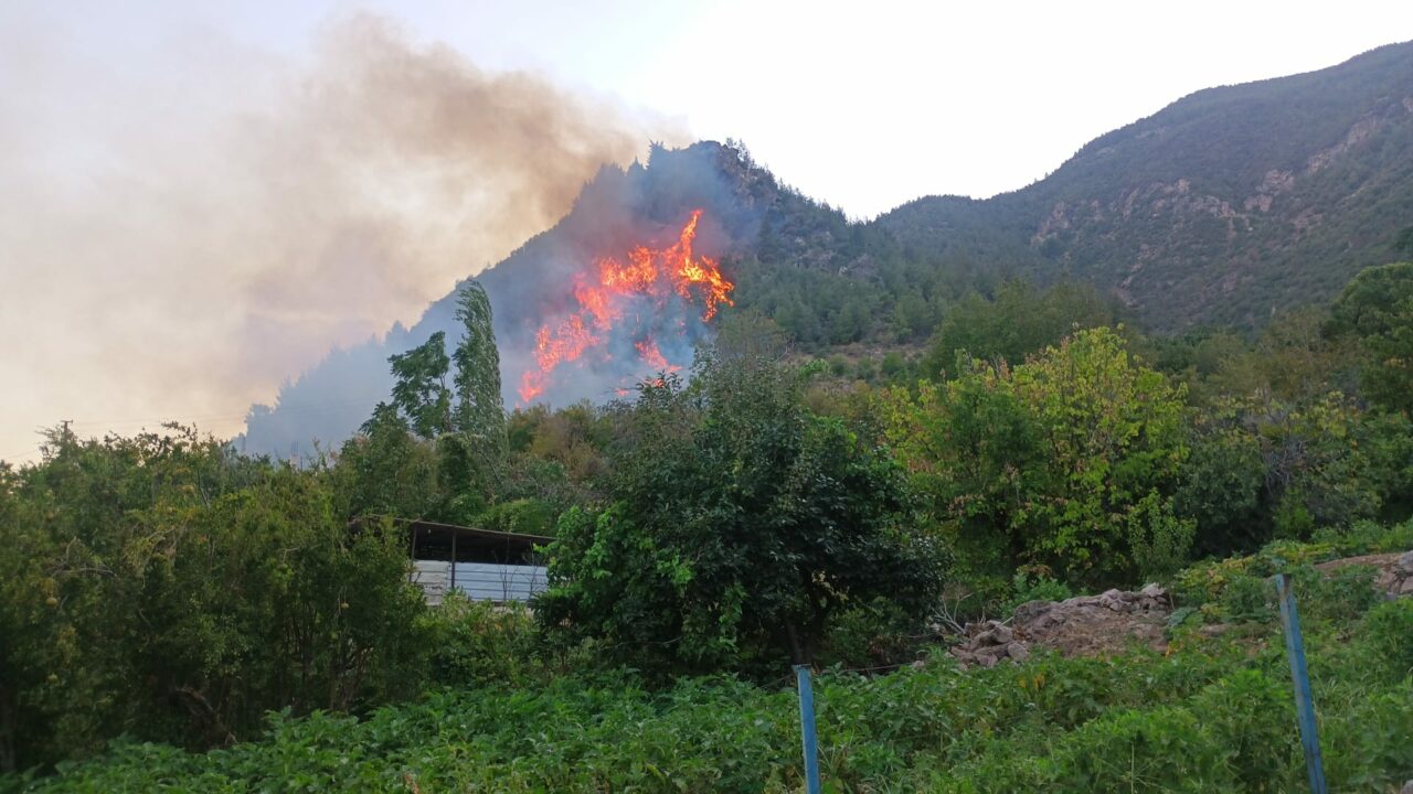 Mersin ve Hatay’da orman yangını: 2 bin 966 kişi tahliye edildi Mersin ve Hatay’da orman yangını: 2 bin 966 kişi tahliye edildi