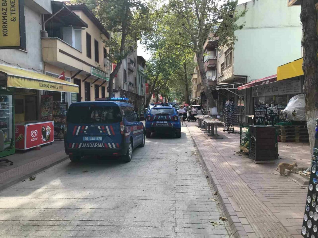 Bursa’da tarihi eser baskını! Bakın nereden çıktı…