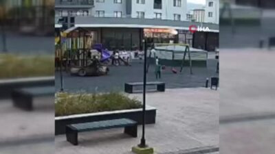 Bursa’da parkta dehşet saçmıştı! Serbest bırakıldı