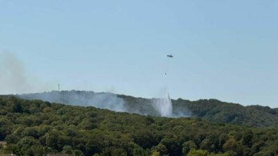 İstanbul’da ormanlık alanda yangın