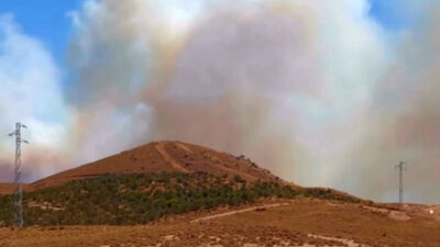 İzmir’de orman yangını