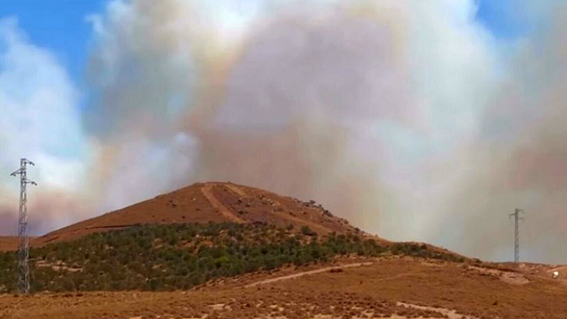 İzmir’de orman yangını İzmir’de orman yangını