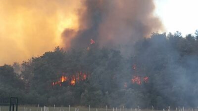 İzmir’de orman yangını