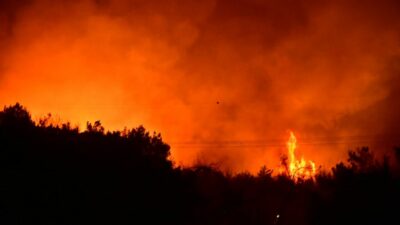 İzmir Buca’da orman yangını