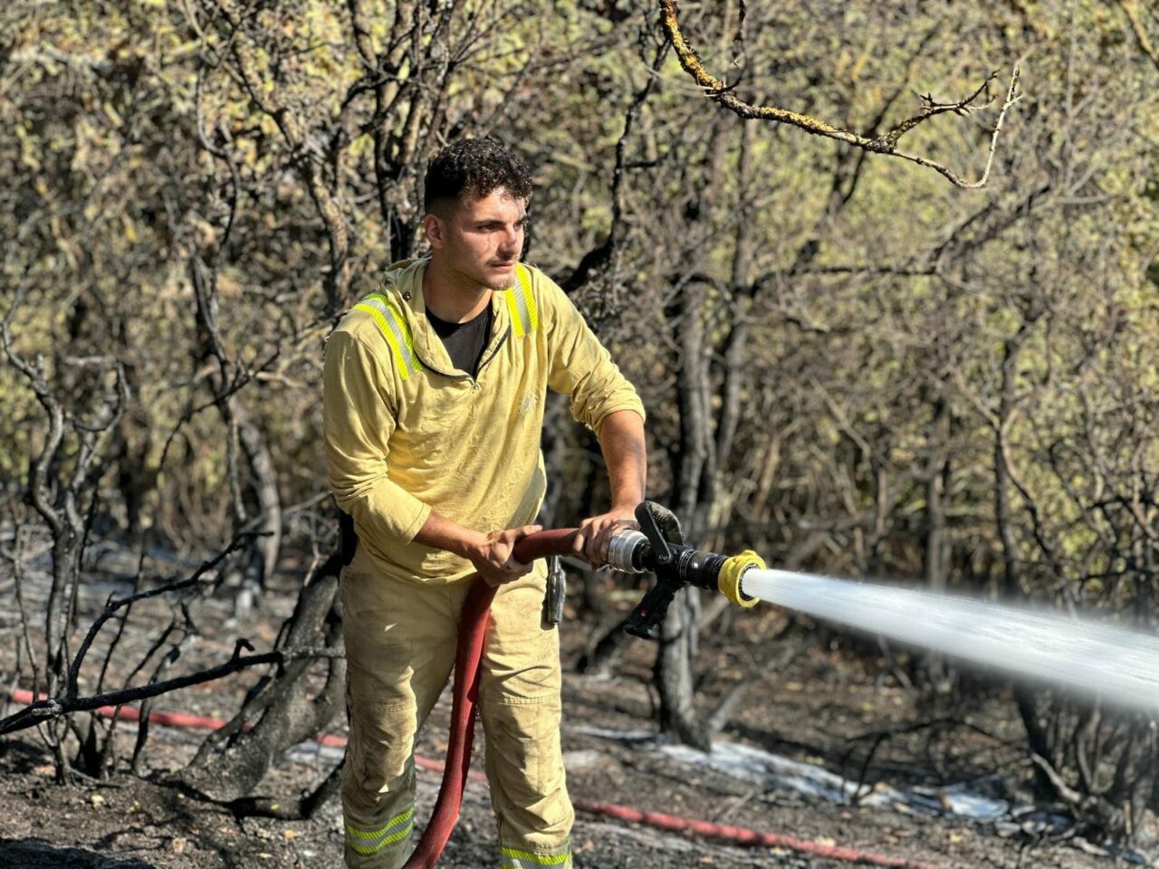 Bursa’nın bir ilçesinde daha orman yangını!