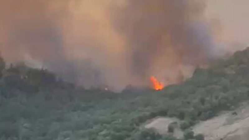 Bursa’daki orman yangınıyla ilgili Büyükşehir’den açıklama