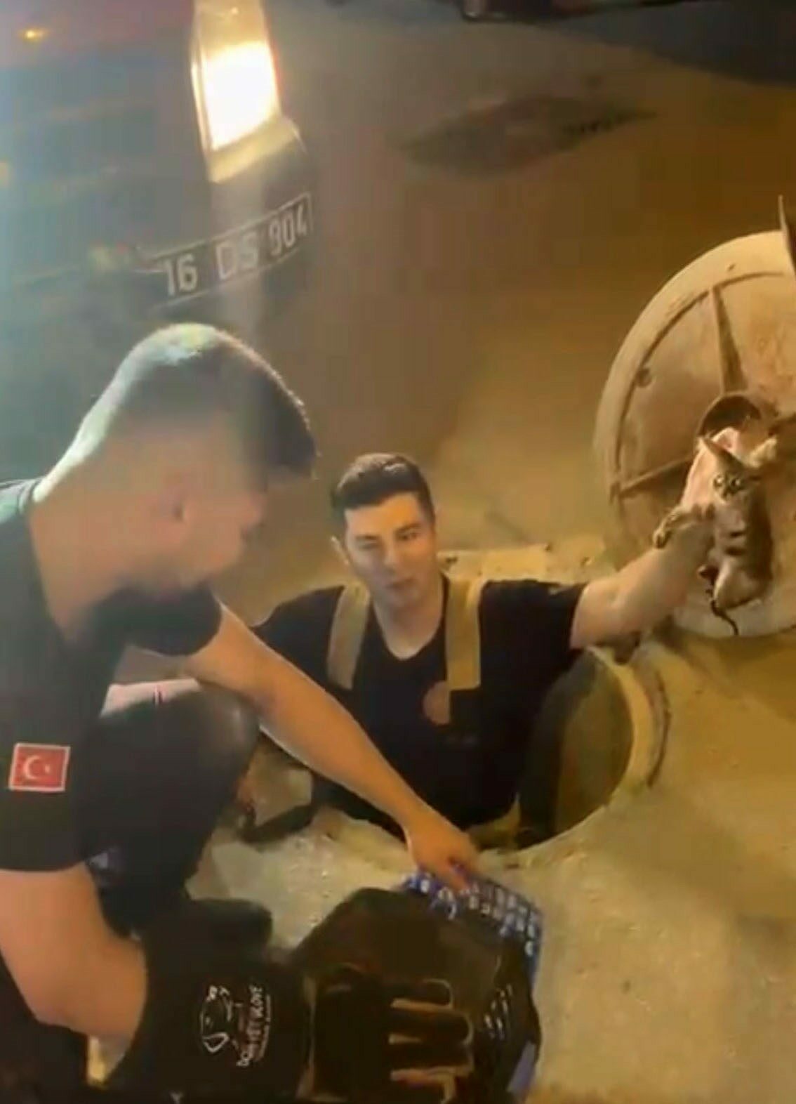 Bursa’da kanalizasyonda mahsur kalan kedi böyle kurtarıldı Bursa’da kanalizasyonda mahsur kalan kedi böyle kurtarıldı