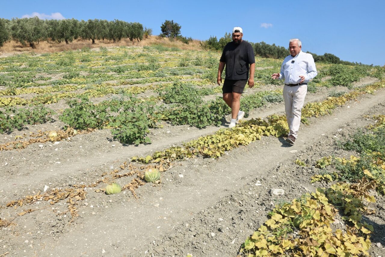Bursa’nın ünlü ilçesinde betondan tarıma dönüş Bursa’nın ünlü ilçesinde betondan tarıma dönüş