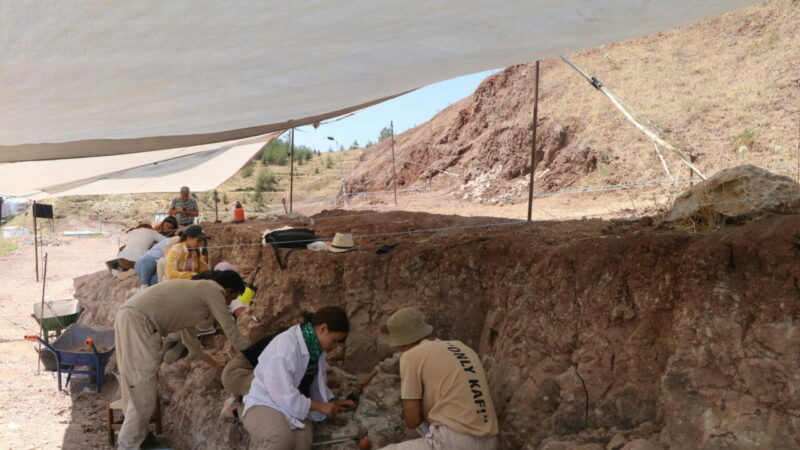 Kavurucu sıcaklarda 9 milyon yıllık fosillerin izini sürüyorlar