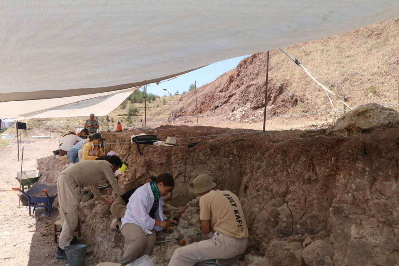 Kavurucu sıcaklarda 9 milyon yıllık fosillerin izini sürüyorlar