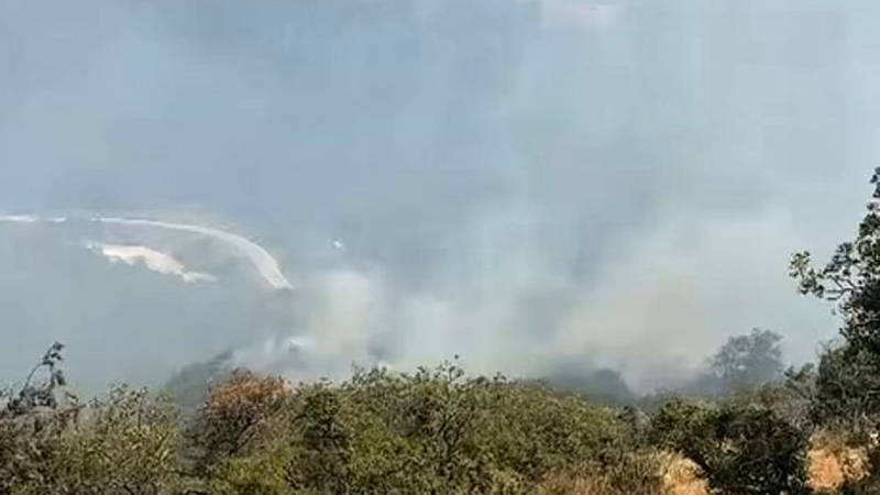 Bursa İznik’teki orman yangını hakkında açıklama Bursa İznik’teki orman yangını hakkında açıklama