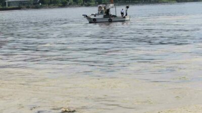 Bursalı balıkçıları sevindiren karar