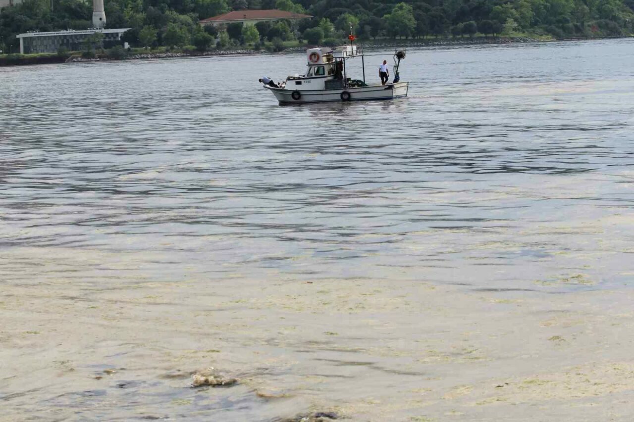 Bursalı balıkçıları sevindiren karar