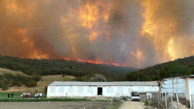 İşte Bursa’daki felaketin acı bilançosu
