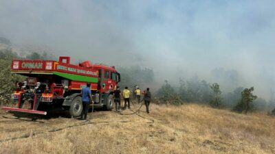 Şırnak’ta orman ve örtü yangını kontrol altına alındı