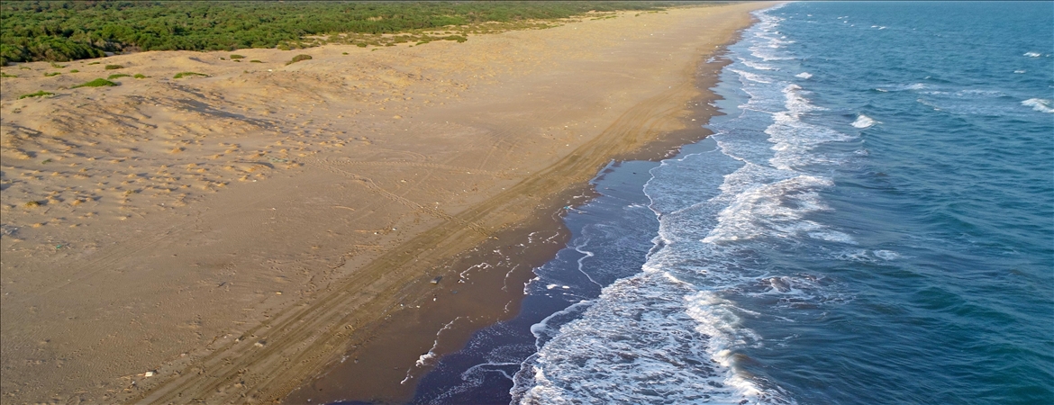 Endişelendiren veriler! Dünya ortalamasının üzerinde artıyor